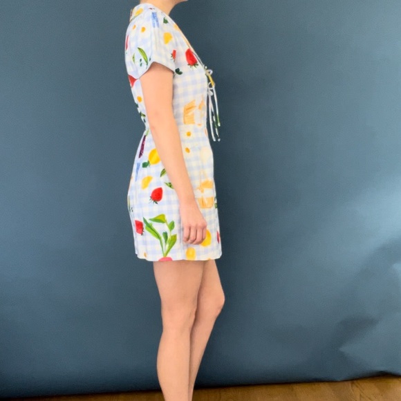 NWT Lisa Says Gah Picnic Alfresco Gingham Alexa Shirtdress XS - Picture 8 of 13